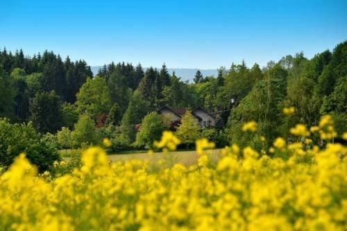 Altes Forsthaus Goseplack Hotel Hardegsen Exterior foto